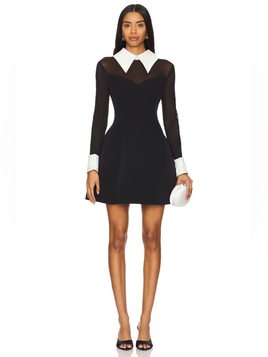 Bronx and Banco Dresses & Skirts - Bronx & Banco Wednesday WhiteCollar CuffSleeves Black Mesh Mini Dress M NWOT